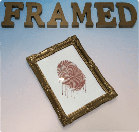 Framed Logo