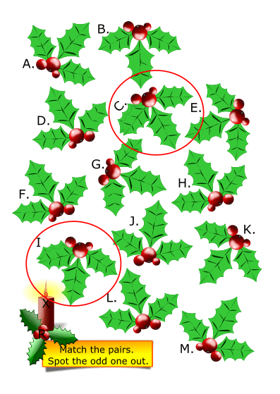 PUZZLE 3B - Christmas Holly