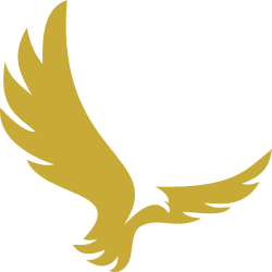 eagle icon